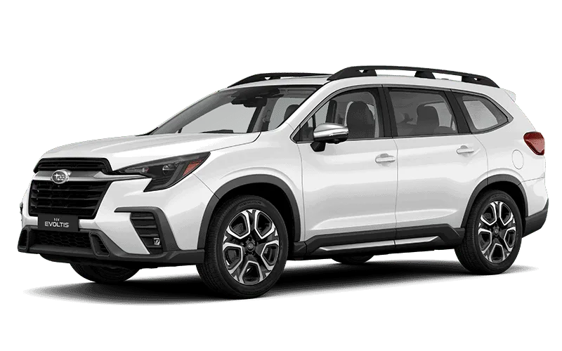 EVOLTIS LIMITED GARDX - Blanco Cristal Perlado Exterior