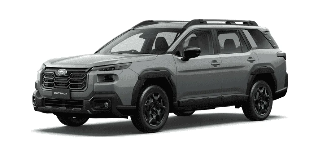 Premium - Gris Piedra Perlado Exterior