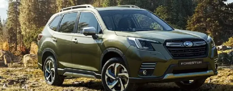¿Cómo elegir el auto adecuado? Consejos claves