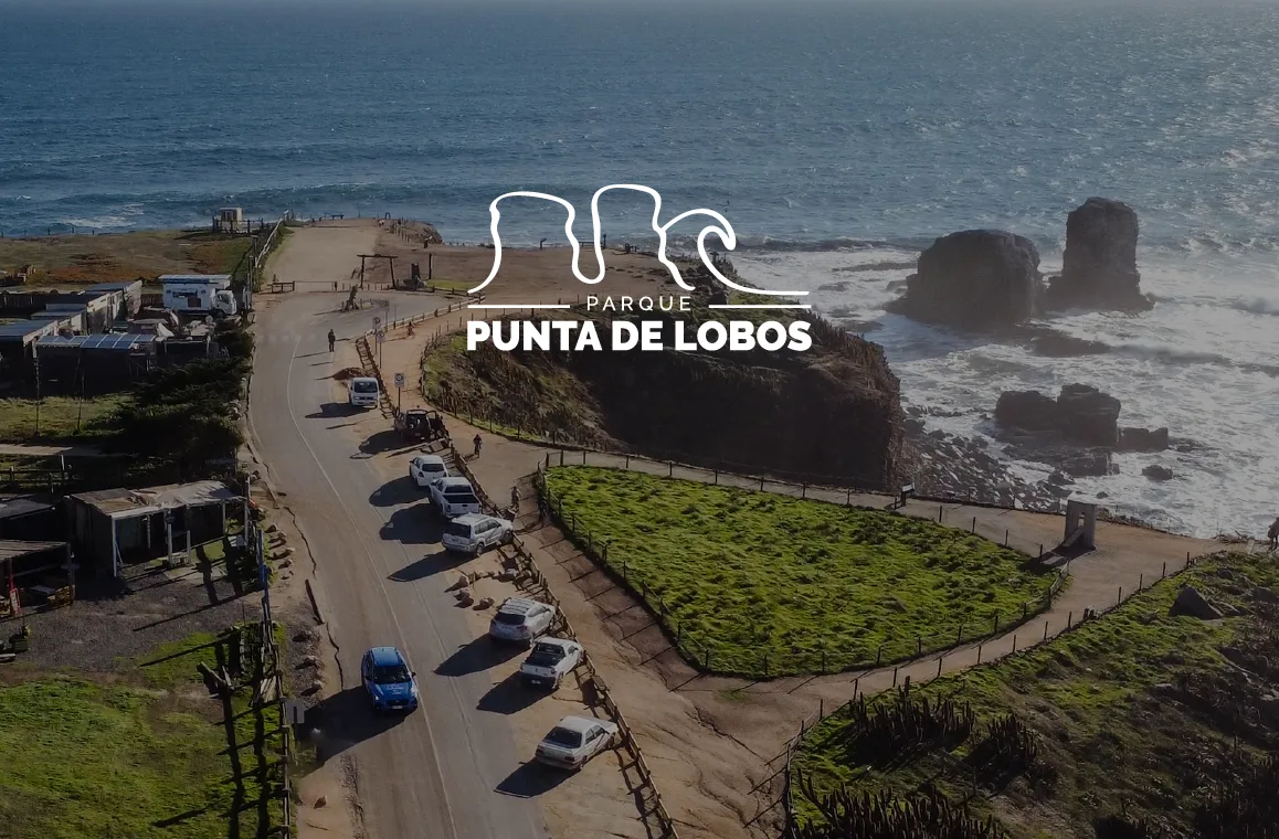 Subaru se convierte en el partner oficial del Parque Punta de Lobos​