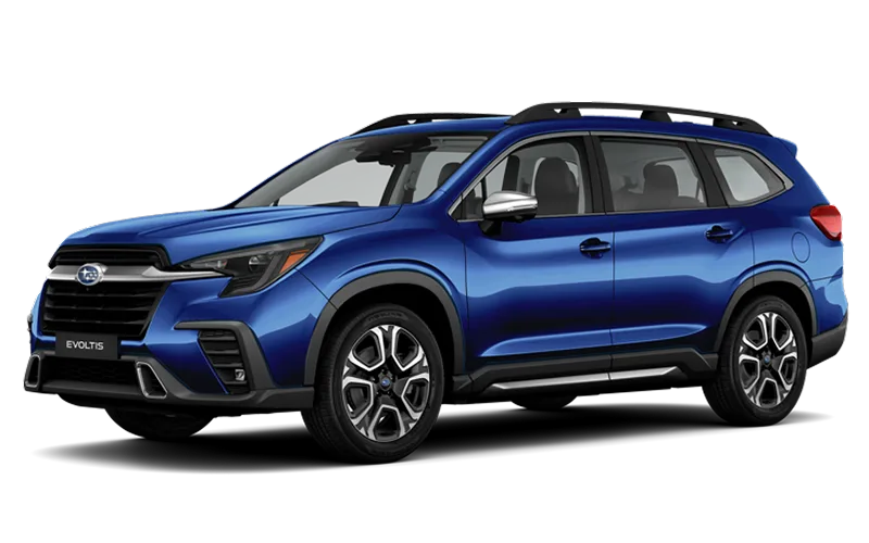 EVOLTIS LIMITED GARDX - Azul Zafiro Perlado Exterior